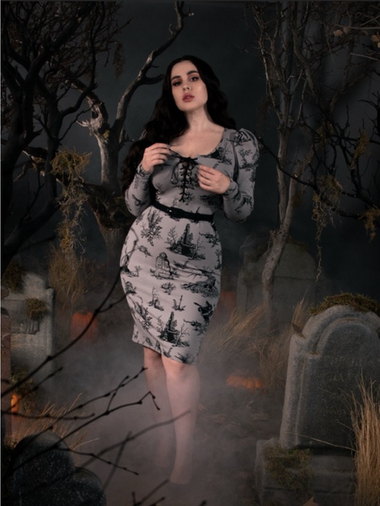 La Femme En Noir Dresses & Skirts - La Femme En Noir x Sleepy hollow Gothic Toile Lace-Up Dress